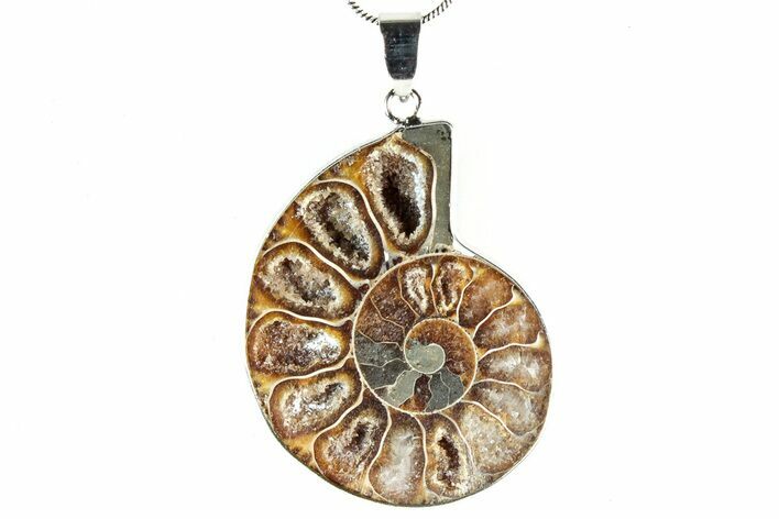 Fossil Ammonite Pendant - Million Years Old #306506